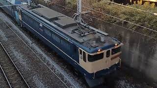 単1295レ EF65 2086+EH200-24