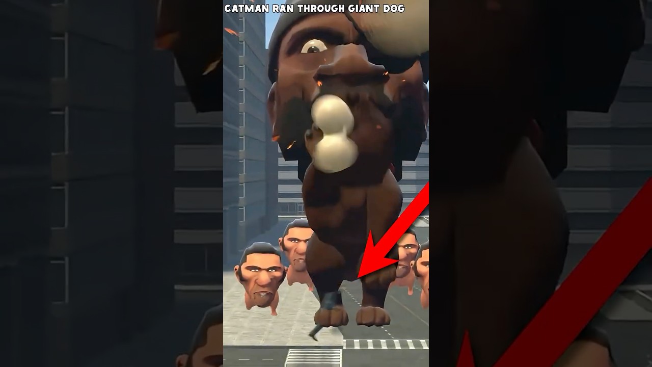 Bow Wow Dog 11 secrets