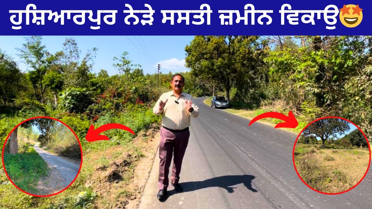 ਹੁਸ਼ਿਆਰਪੁਰ ਨੇੜੇ 🤩25 ਕਿੱਲੇ ਦਾ ਸਸਤਾ ਟੱਕ । 25 acres land for sale in PunjabVideo no: 94