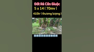 🔴 Đất rẻ Cần Giuộc / đất cần giuộc giá rẻ / #shorts