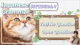 【Japanese for beginner】Grammar : Yes/No and Open Question sentences / the particle は vs って