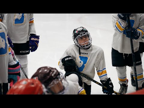 Noche de LosVGK x Metepec Bùfalos 🏒