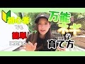 【家庭菜園】初心者でも超簡単！Y万能ネギY育ててみた！【トモちょこ】