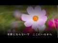 伝えたい言葉 / Daisy / Original Song