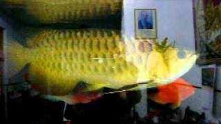 2010/09/20-2