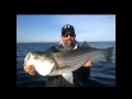 Cape Cod flyfishing for stripers