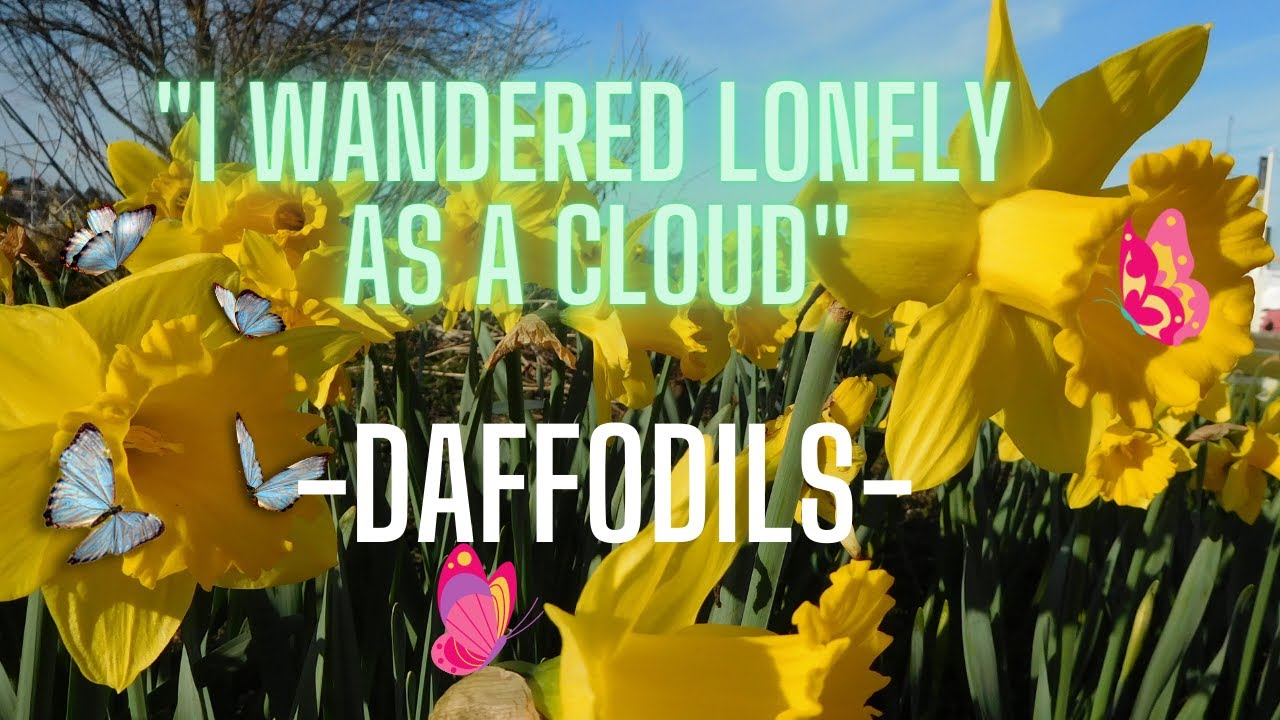 Spring and Daffodils + Poems "I Wandered Lonely as a Cloud" and