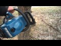 Как спилить дерево