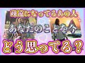 《やや辛口アリです😣⚠️！》❤️疎遠になってるあの人…あなたのことを今、どう思ってる？❤️★ 恋愛 人間関係 人生 運命★タロット占い&オラクルカードリーディング
