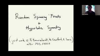 Random spanning forests and hyperbolic symmetry - Tyler Helmuth, University of Bristol