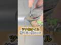 【まじか!】ツナ缶オイルの裏技