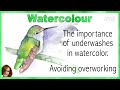 The Importance of Initial Washes in Watercolor // Avoiding Overworking