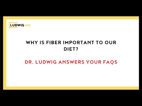 Why Is Fiber