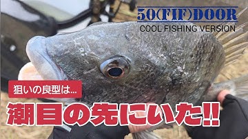 【フカセ釣り】エサ取りをかわす!!潮目を使ってオキアミオンリーで良型チヌ