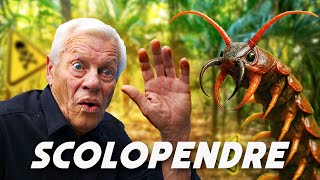 Le Prédateur Caché Sous Ton Lit ... Et Non, Ce Nest Pas Une Araignée