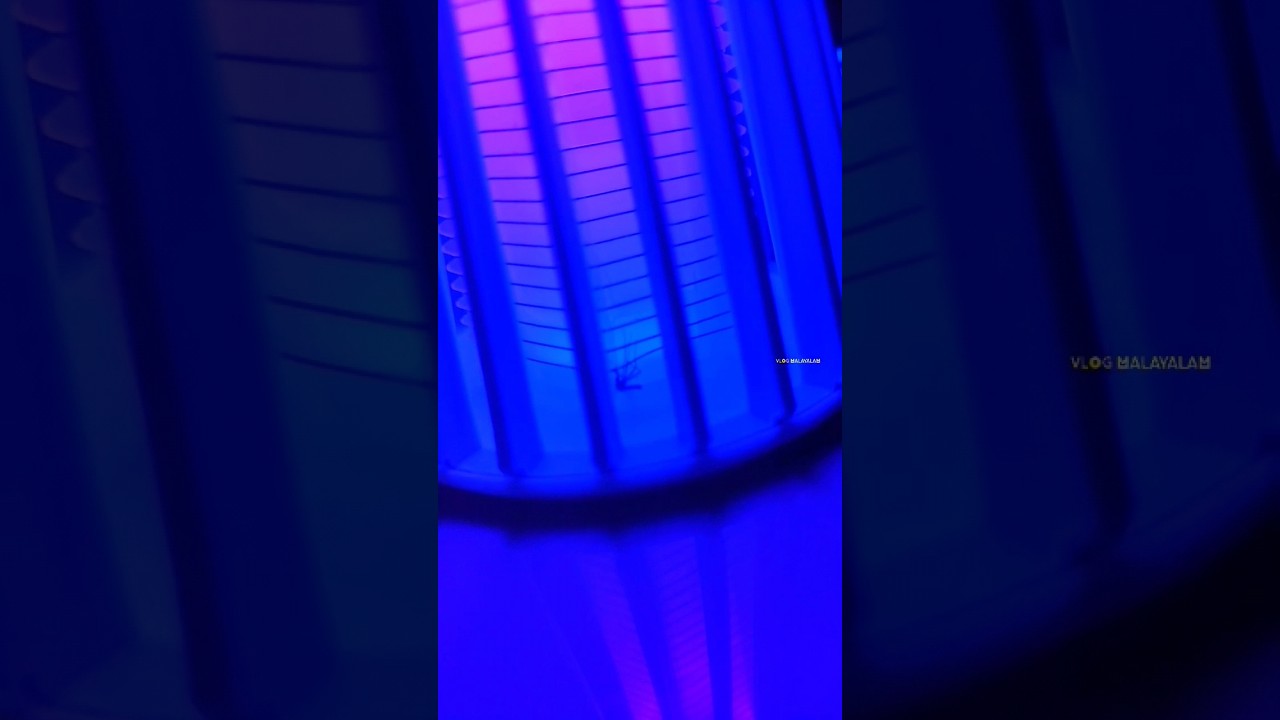 Electric Mosquito Killer Lamp| Electric Shock 😲⚡#shorts #mosquitokiller #mosquito #trap