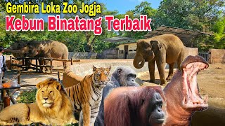 Menuju Gembira Loka Zoo Yogyakarta Kebun Binatang Terbaik 2023 | Wisata Jogja Terbaru