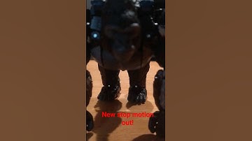 Maximals, MAXIMIZE!#shorts