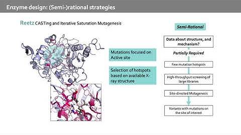 Computational enzyme design overview: Shortest path map tutorial