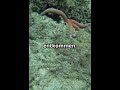 Wusstest du schon? - Weiteres Wunder der Natur #natur #wunder #fakten #spannend #interessant #wow