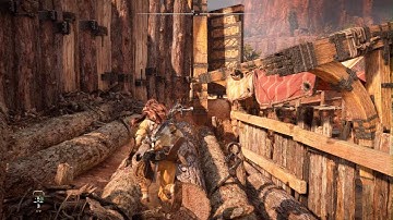 Horizon Forbidden West - Visual Bug