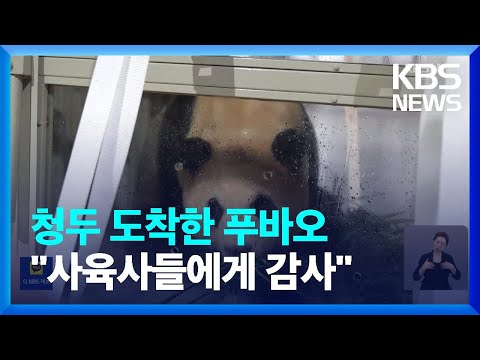 푸바오 중국 도착해 기지로…들뜬 중국 “한국 사육사들에게 감사” / KBS  2024.04.04.