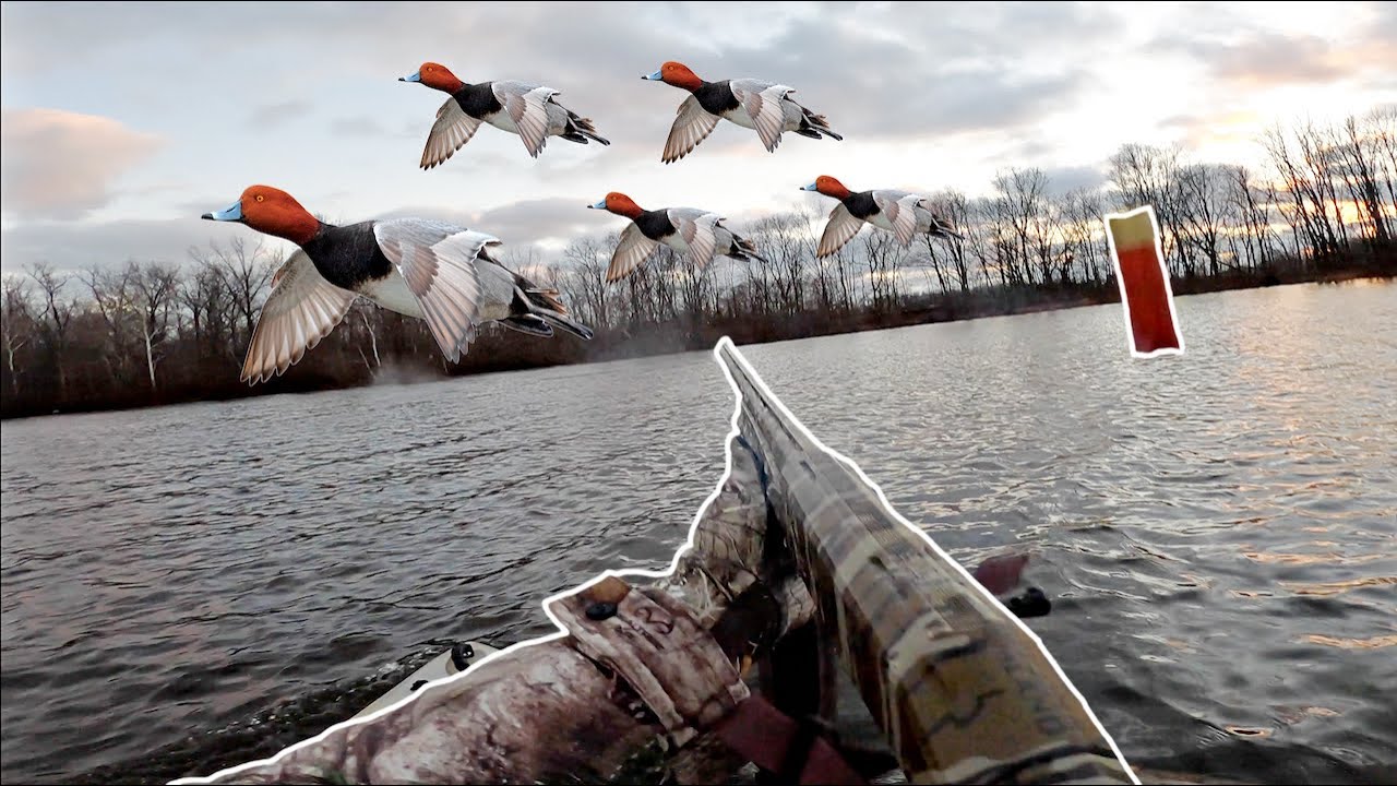 Jump Shooting REDHEAD Ducks on WINDY Day! YouTube