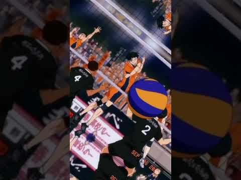 KAGEYAMA'S SETTER DUMP