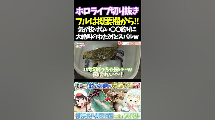 気が抜けない〇〇釣りに大絶叫のわためとスバルw【#角巻わため #ホロライブ切り抜き#面白いシーン#はばない  】