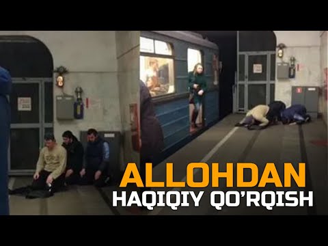 Video: Kilanga haqiqiy joymi?