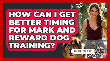 How Can I Get Better Timing For Mark And Reward Dog Training? - Obedient Dog Guide