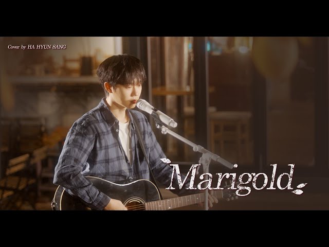 Aimyon (あいみょん) - Marigold (マリーゴールド) (Cover by 하현상 Ha Hyunsang) class=