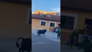 🔥💪🏻SALIDA TORO A CAJÓN‼️Traspinedo (Valladolid)