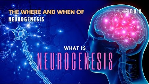 Neurogenesis explained:The what ,where and when #neurogenesis#neuroscience #neuroplasticity#class12