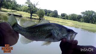 BASS FISHING BAIT REVIEW: The #YUM Ribbon Tail Worm