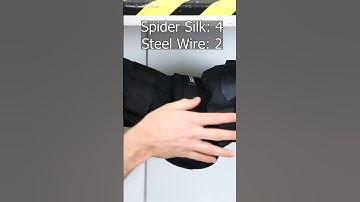 Is Spider Silk Stronger Than Steel?