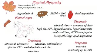Atypical Myopathy - Vet students