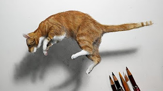 動物を描いてみたシリーズ 色鉛筆画 Draw Animals