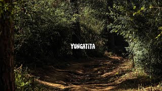 Yungatita - 7 Weeks & 3 Days 