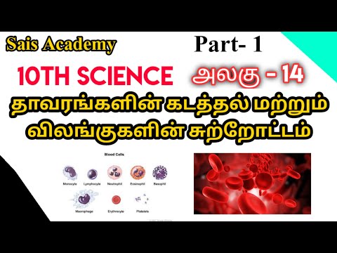 10th Science | தாவரங்களின் கடத்தல் மற்றும் விலங்குகளின் சுற்றோட்டம் | Part - 1 | Sais Academy