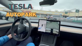 Tesla Autopark Testing (Vision-Based)