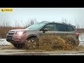 Subaru Forester месит грязь и прет везде!