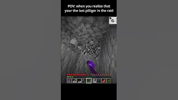 POV: you realize that your the last pillager in the raid #shorts #minecraft #gaming #funny