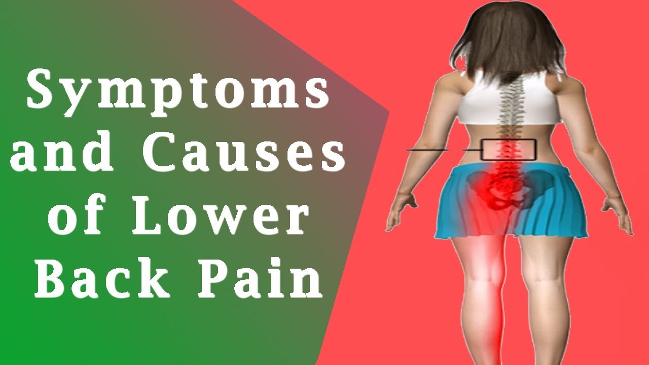 Lower Back Pain Symptoms And Causes Of Lower Back Pain Youtube