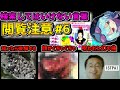 【閲覧注意】検索してはいけない言葉を怖がりが調べてみる!Part6【ゆっくり実況】
