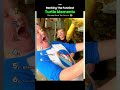 Ranking The Funniest Turtle Moments