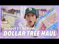 *BRAND NEW* DOLLAR TREE HAUL | A BUNCH OF NEW ARRIVALS FOR $1.00?!