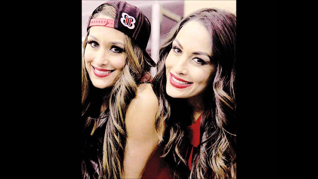 birthday Wwe bella twins