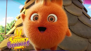 Las Aventuras de Sunny Bunnies | ¡AL RESCATE! | Dibujos para niños by Las Aventuras de Sunny Bunnies 50,447 views 1 month ago 1 hour, 21 minutes