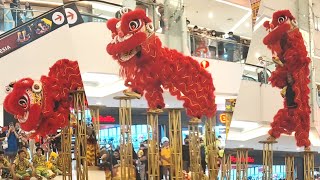 Acrobatic Lion Dance in Pluit Village Indonesia by Nelly Xie 583 views 1 year ago 11 minutes, 19 seconds